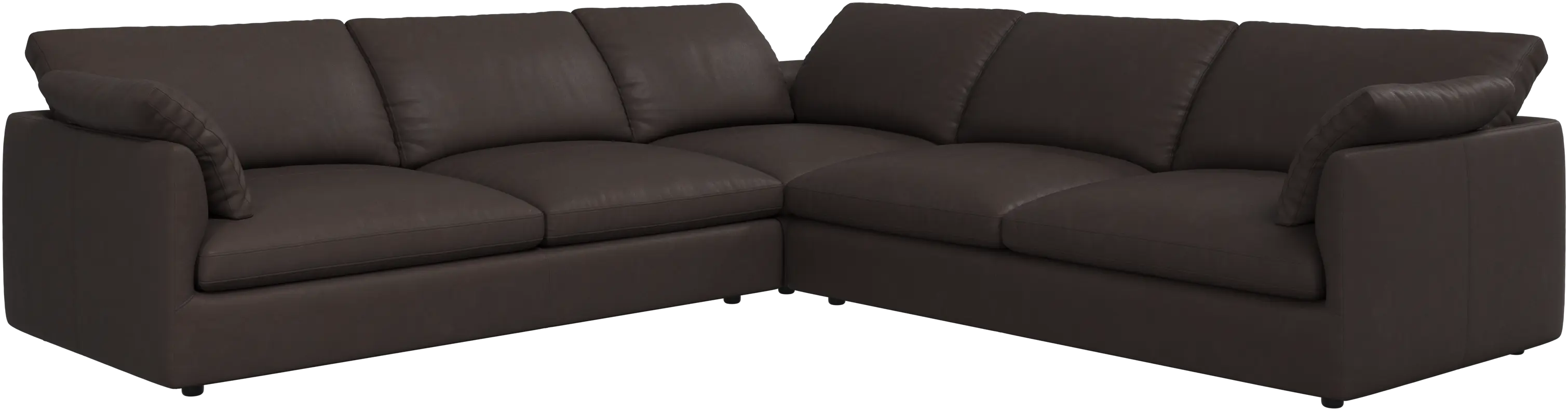 2874436_PNG-Web 72dpi.png?